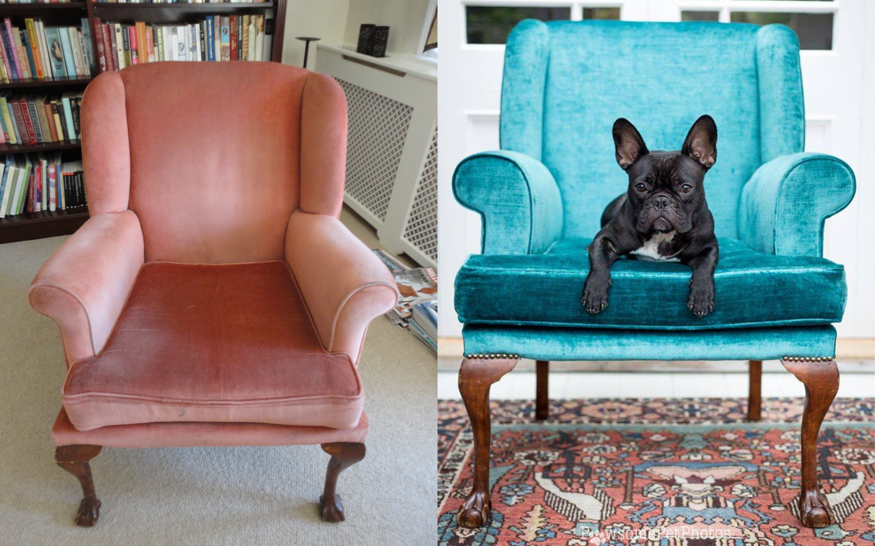two images showing before shot of a faded pink wing back chair and after shot showcasing a blue velvet reupholstered chair